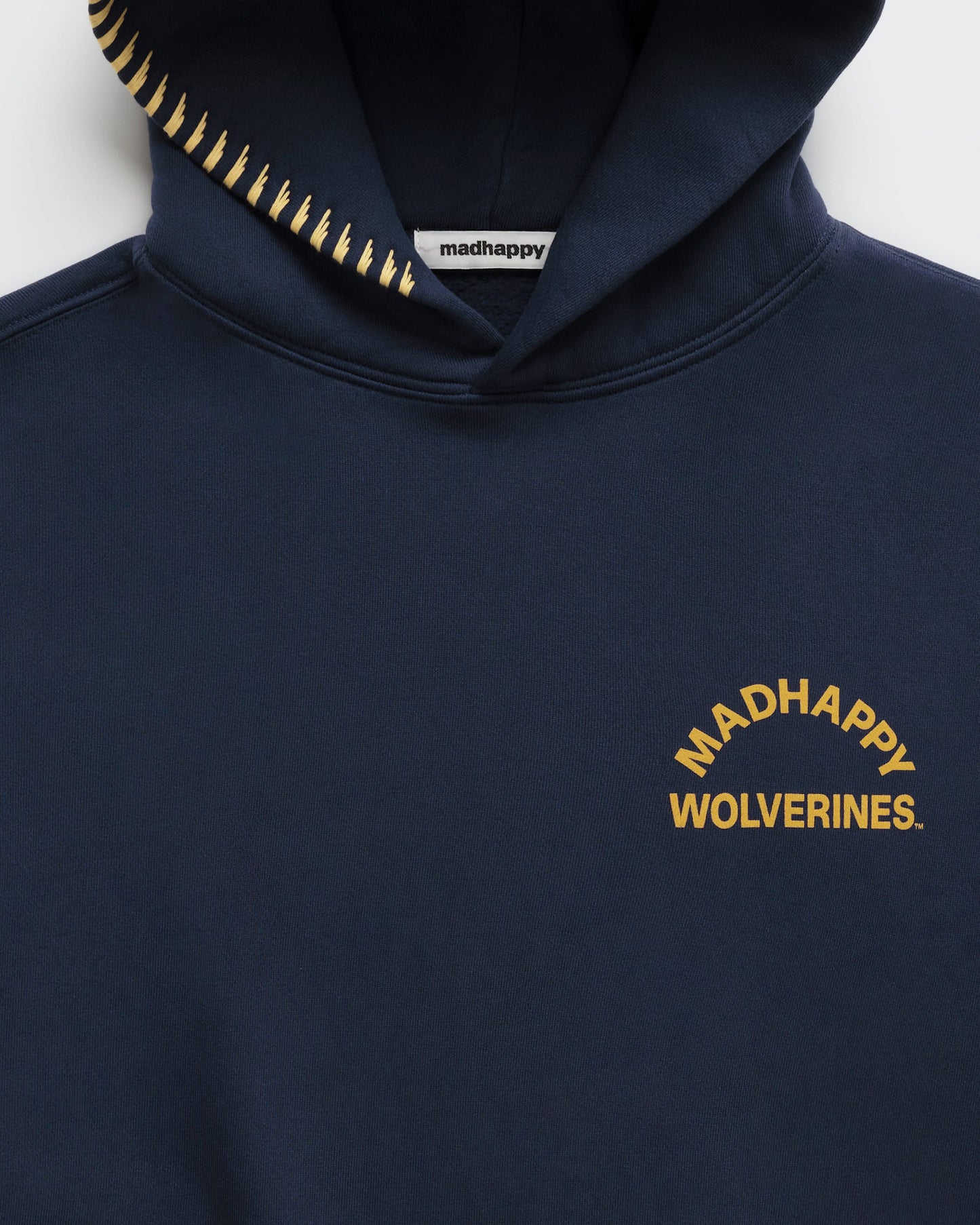 University of Michigan Arch Hoodie